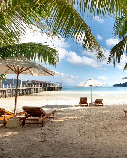 Rota dos Sonhos 2026