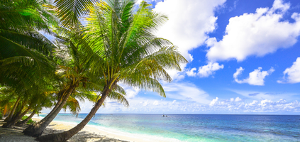 Rota dos Sonhos 2026