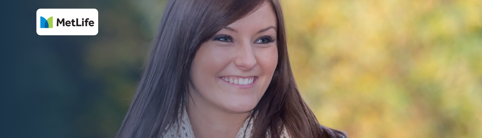 Plano Empresarial Metlife Plano Empresarial Metlife