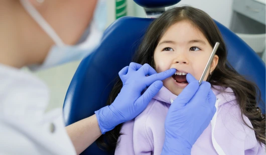 Rota Seguros | Unimed Saúde