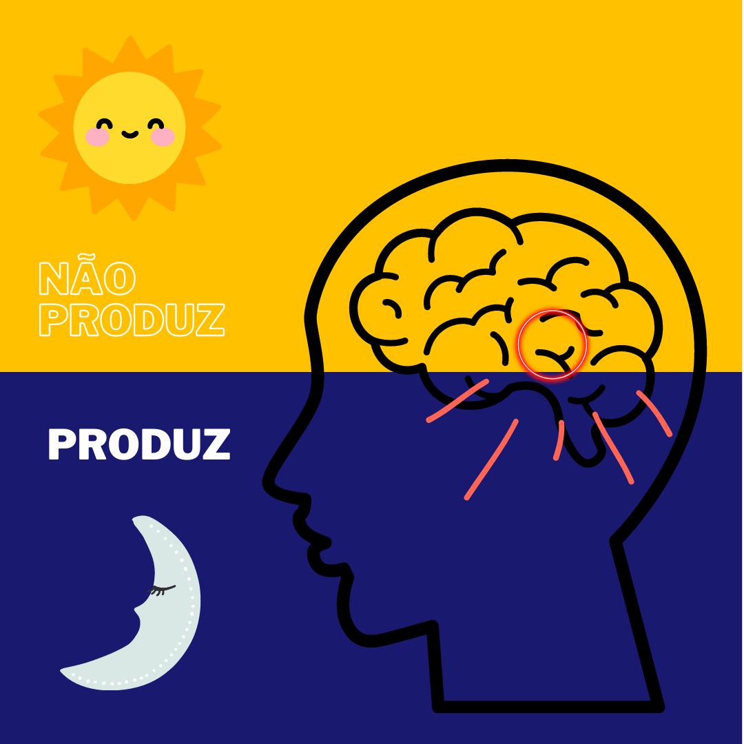 COMO FUNCIONA A MELATONINA