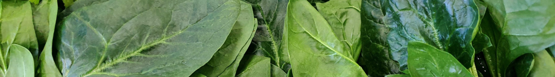 folhas verdes para o cabelo