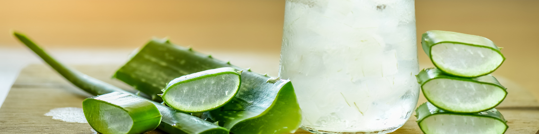 beneficios da babosa