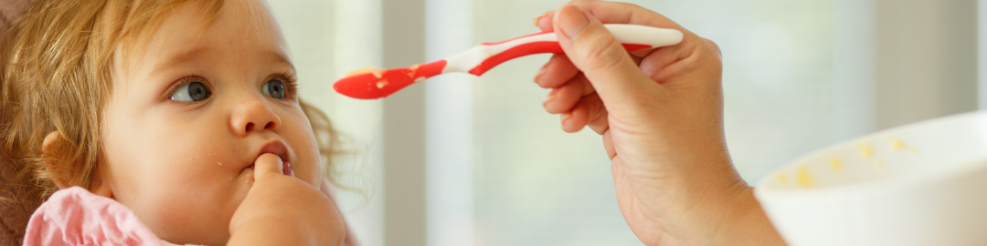 introdução alimentar