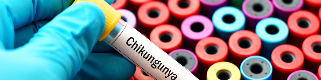 Chikungunya