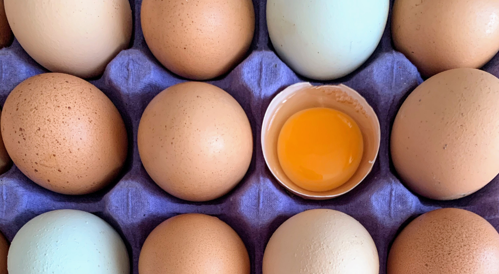 Alergia a ovo: o que você precisa saber