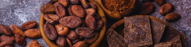 Benefícios do cacau
