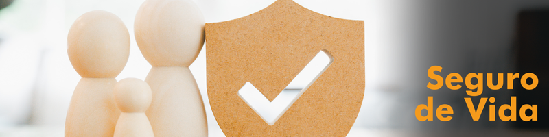 Seguro de vida, entenda a importância