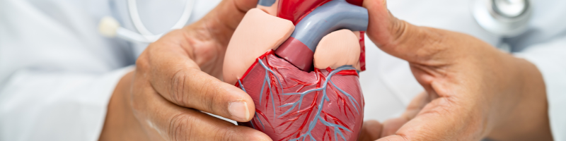 Infarto e AVC_ Qual é a diferença