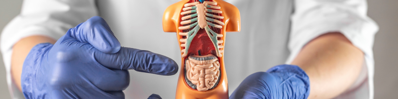 A importância do diagnóstico precoce