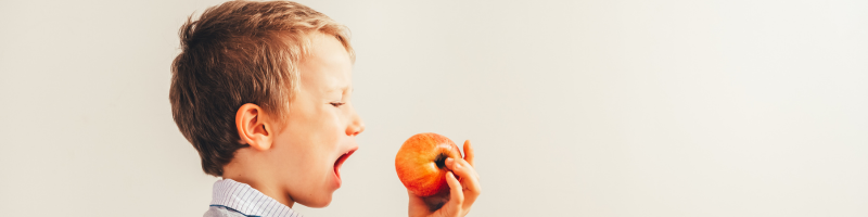 Maçã é saudável em qualquer forma