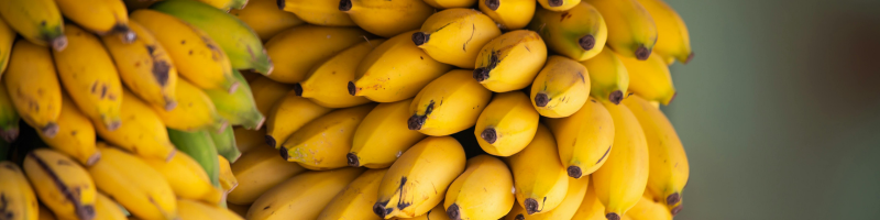 A banana e o cuidado integral com a saúde