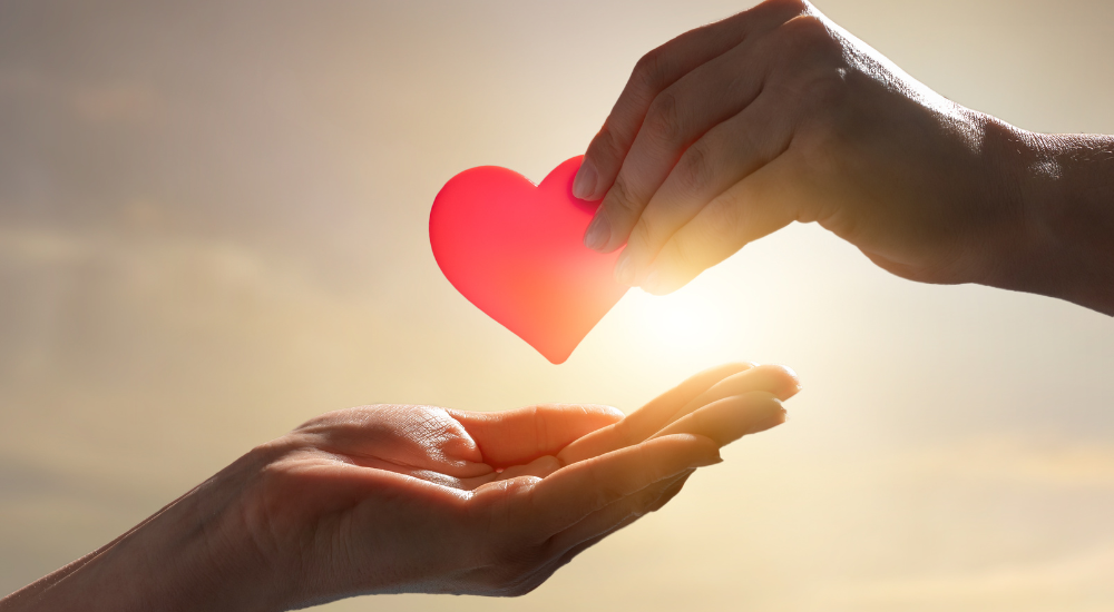 Doação de órgãos: um ato de amor que salva vidas