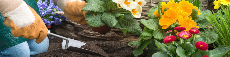 O que são hobbies e por que eles são tão importantes?