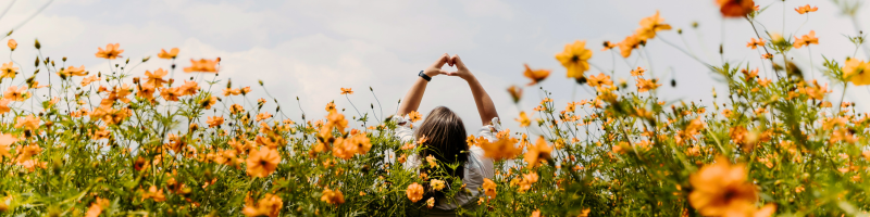 Os principais cuidados na primavera!