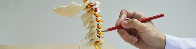 Polilaminina promete devolver movimento a pacientes tetraplégicos