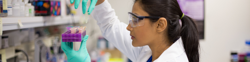 Polilaminina: Resultados observados