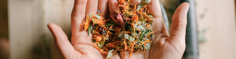 Em quais situações a homeopatia pode ajudar?