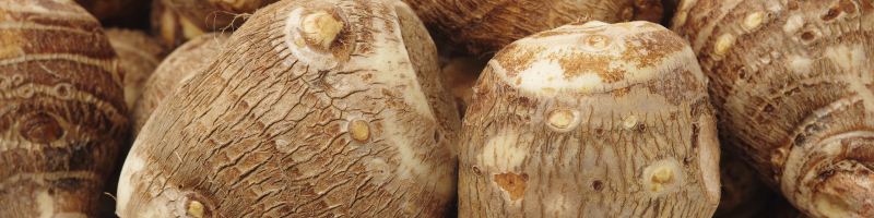 Inhame: Mais do que um alimento, um aliado!