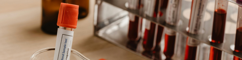 Principais tipos de doenças hematológicas