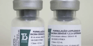 Vacina contra a dengue Anvisa aprova imunizante do Butantan