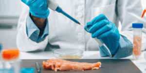 Salmonela: como ocorre a infecção e cuidados essenciais