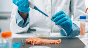 Salmonela: como ocorre a infecção e cuidados essenciais