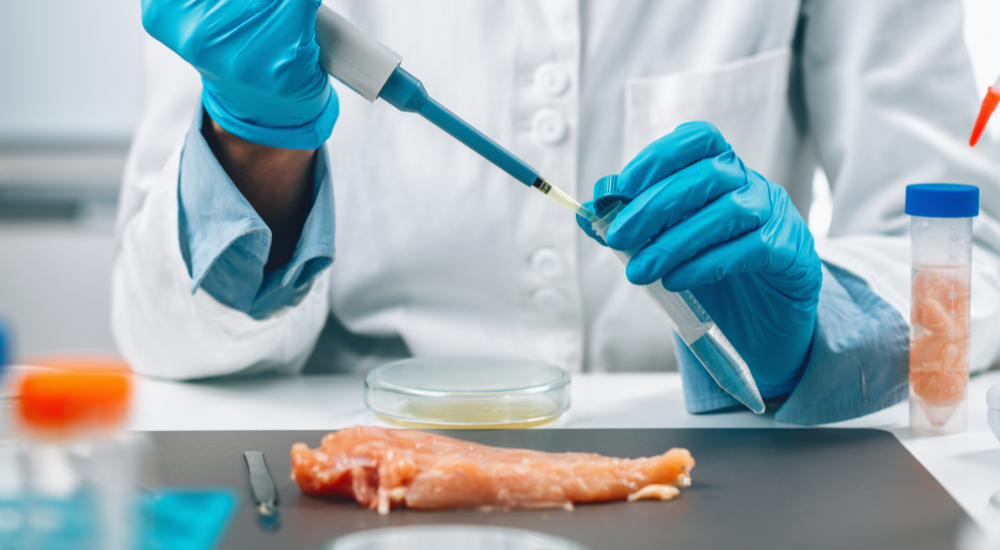 Salmonela: como ocorre a infecção e cuidados essenciais