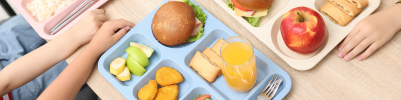 A lancheira como aliada da rotina saudável A lancheira como aliada da rotina saudável