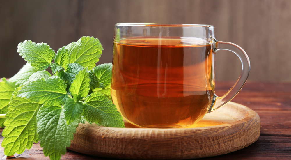 Chá de Melissa benefícios, como preparar