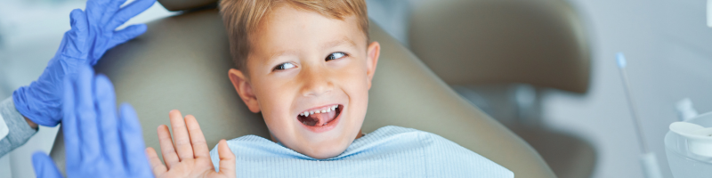 Como a Rota Seguros pode ajudar