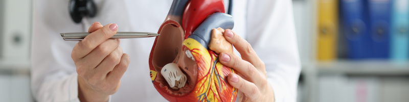 É possível prevenir doenças cardíacas É possível prevenir doenças cardíacas