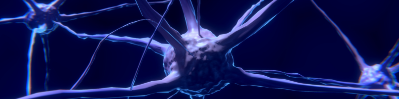 O que é a Esclerose Lateral Amiotrófica O que é a Esclerose Lateral Amiotrófica