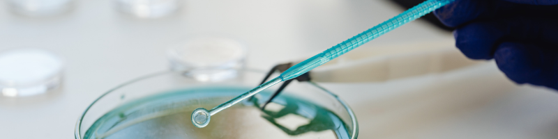 Quais são as causas Quais são as causas