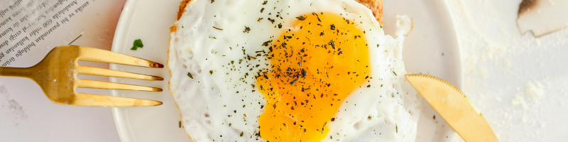 Dieta do ovo o que considerar Dieta do ovo o que considerar