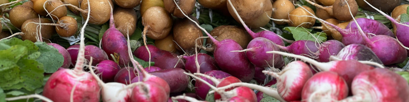 Lista de vegetais crucíferos