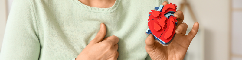 Magnésio e o coração Magnésio e o coração