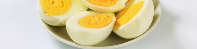 O que é a dieta do ovo O que é a dieta do ovo