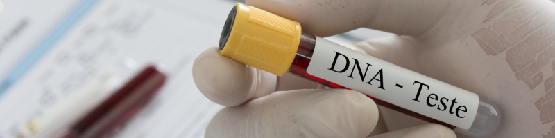 O que é o DNA e por que ele é tão importante