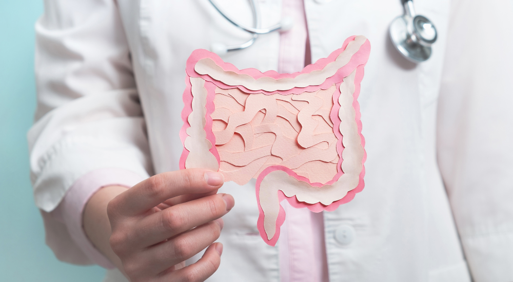Microbiota seu intestino sente o que você come