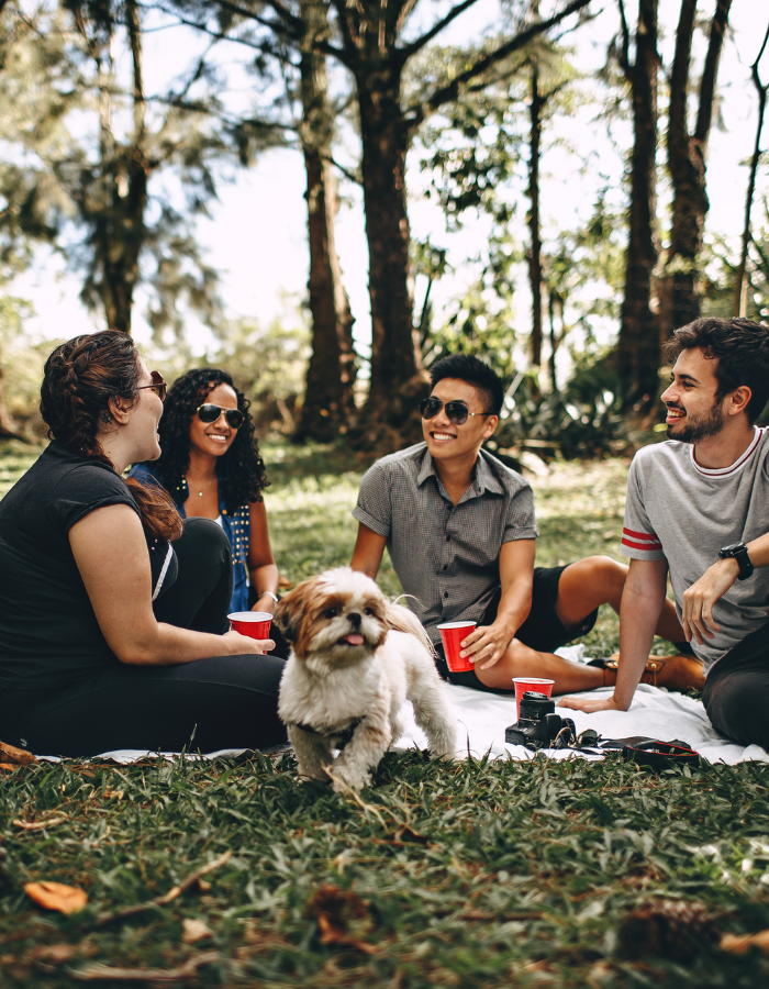 Tabela de Preços Unimed Odonto