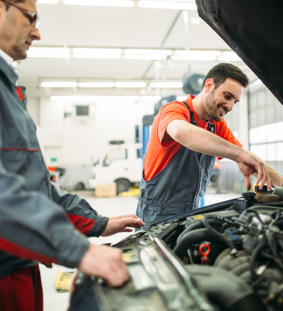 Seguro Auto | Cobertura e serviços