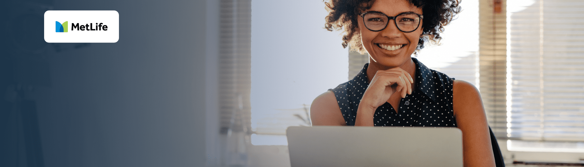 Sobre a Metlife
